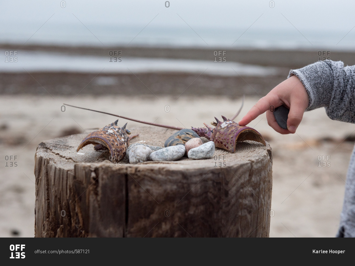 Child pointing to found objects on beach