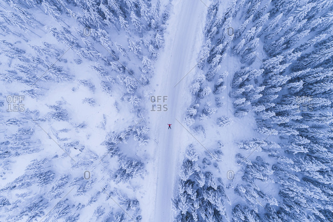Winter road through forest - Offset