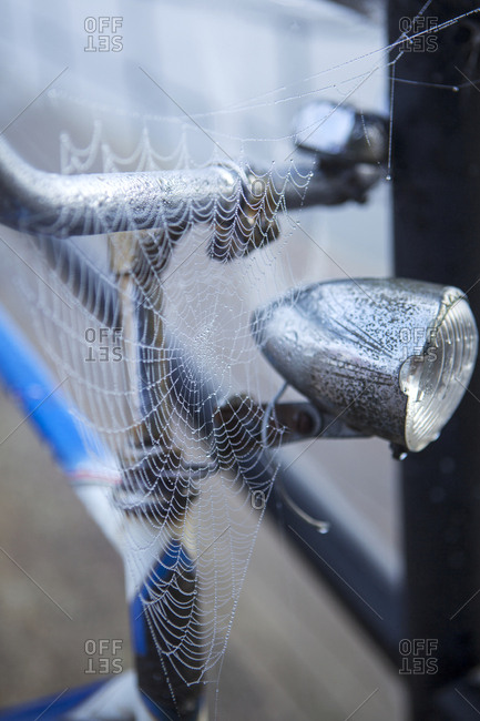 Spider web on bicycle