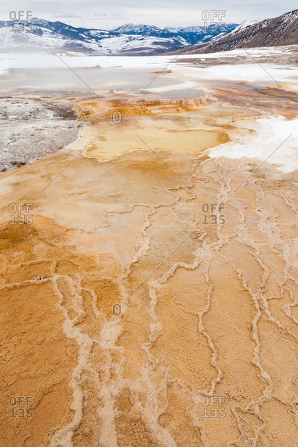A close view of the patterns in the travertine terraces of Canary Spring of Mammoth Hot Springs