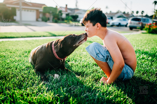 Dog kissing boy's face