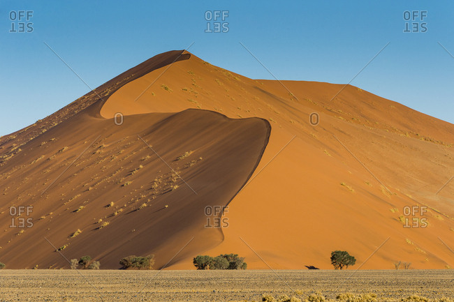 Giant Sand Dune 45 Sossusvlei Namib Naukluft National Park Namibia Africa Stock Photo Offset