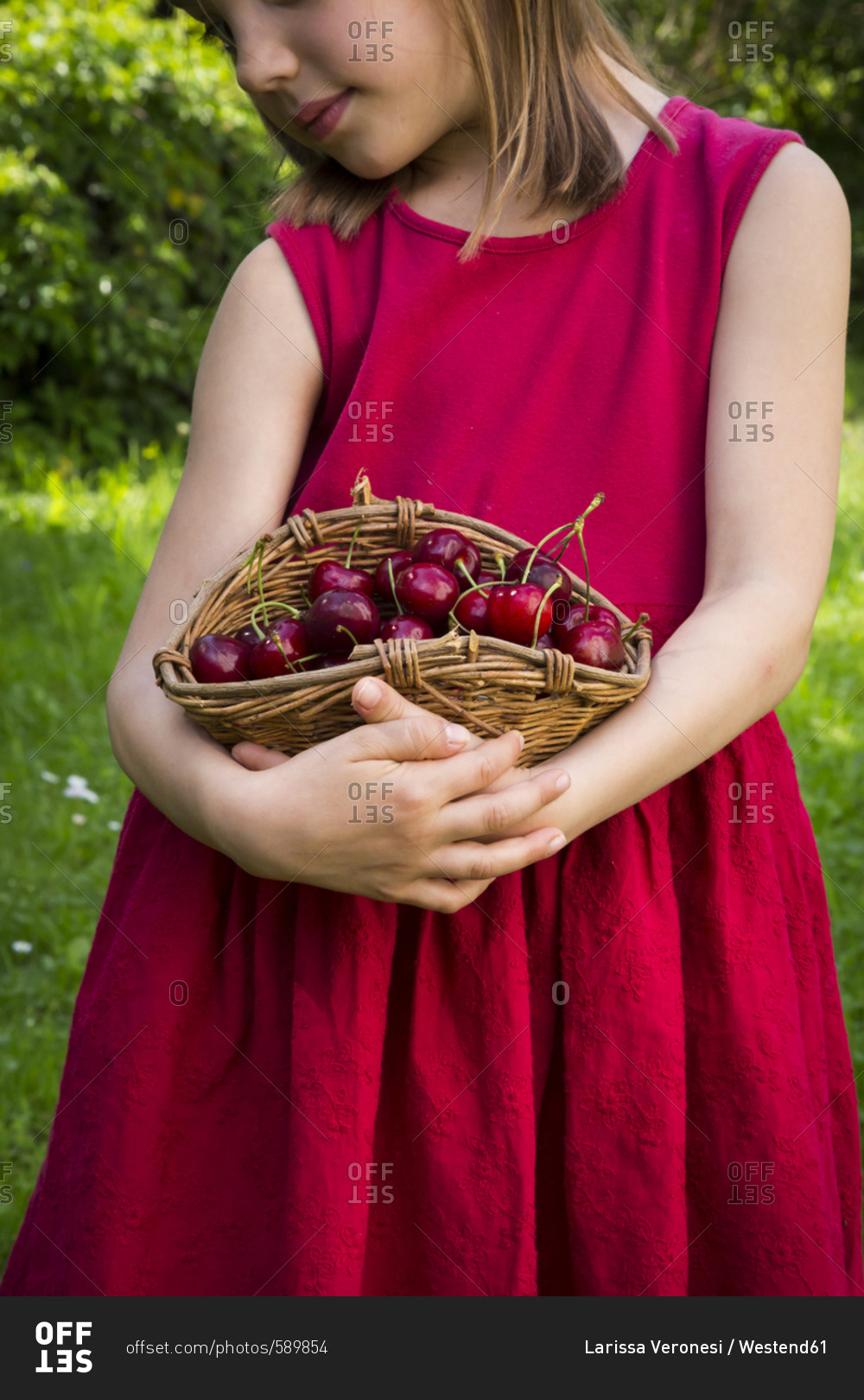 Little girl wearing red summer dress holding basket of cherries- partial view