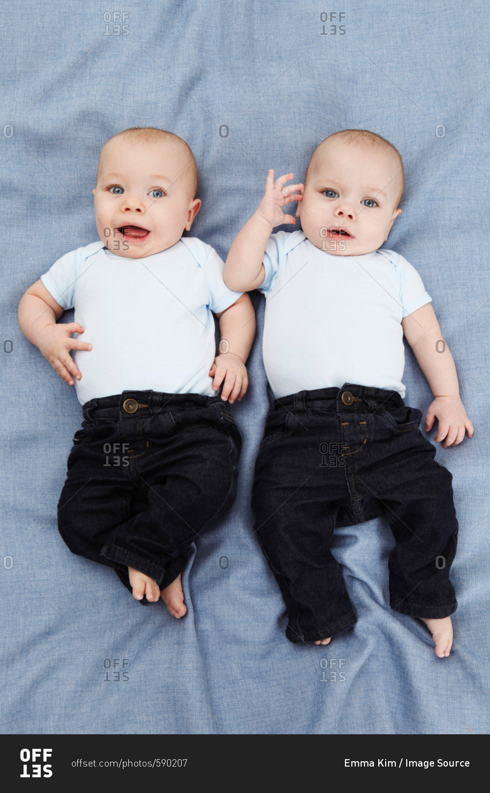 Portrait of two baby boys lying on blue, overhead view