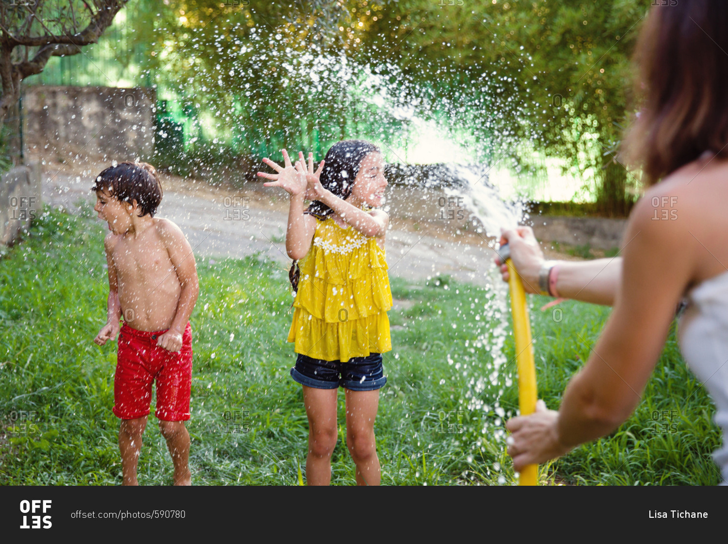 Mom spraying kids with hose stock photo - OFFSET