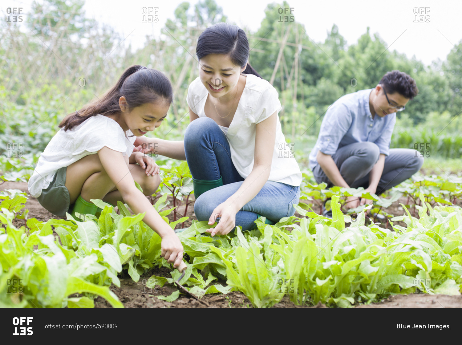 Young family gardening together
