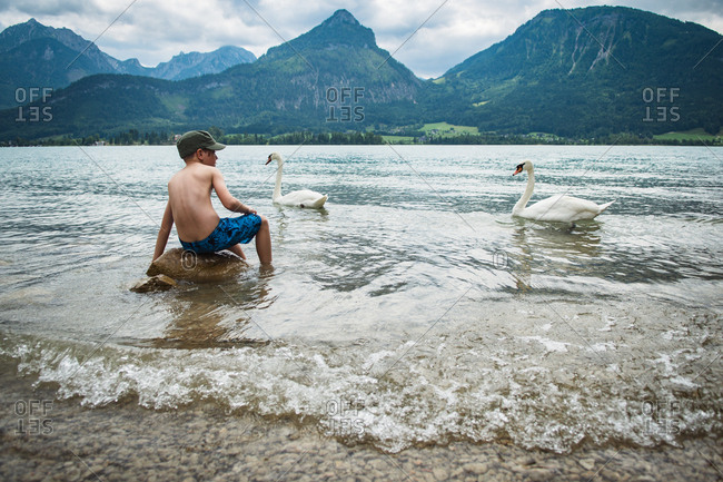 Boy sitting on a stone in a lake with swans in the mountains in Austria