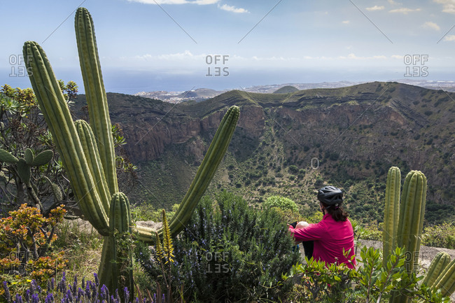 Rear view of woman admiring scenic mountain view