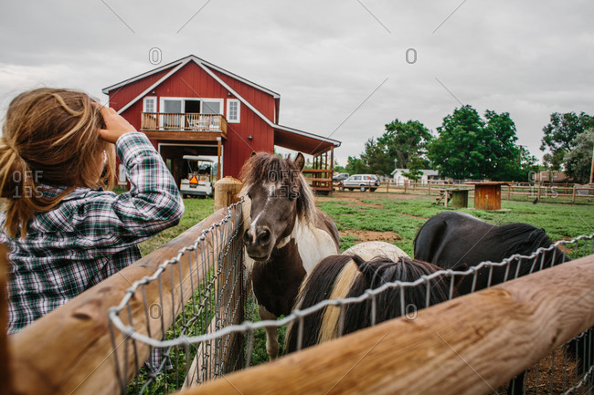 Boy standing by pen with miniature horses