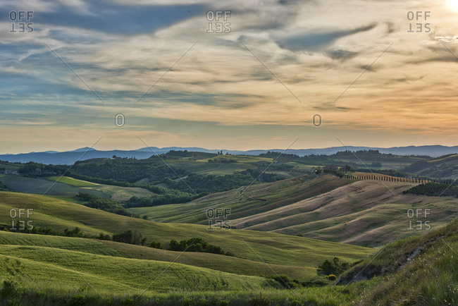 Italy- Tuscany- Val d'Orcia- rolling landscape