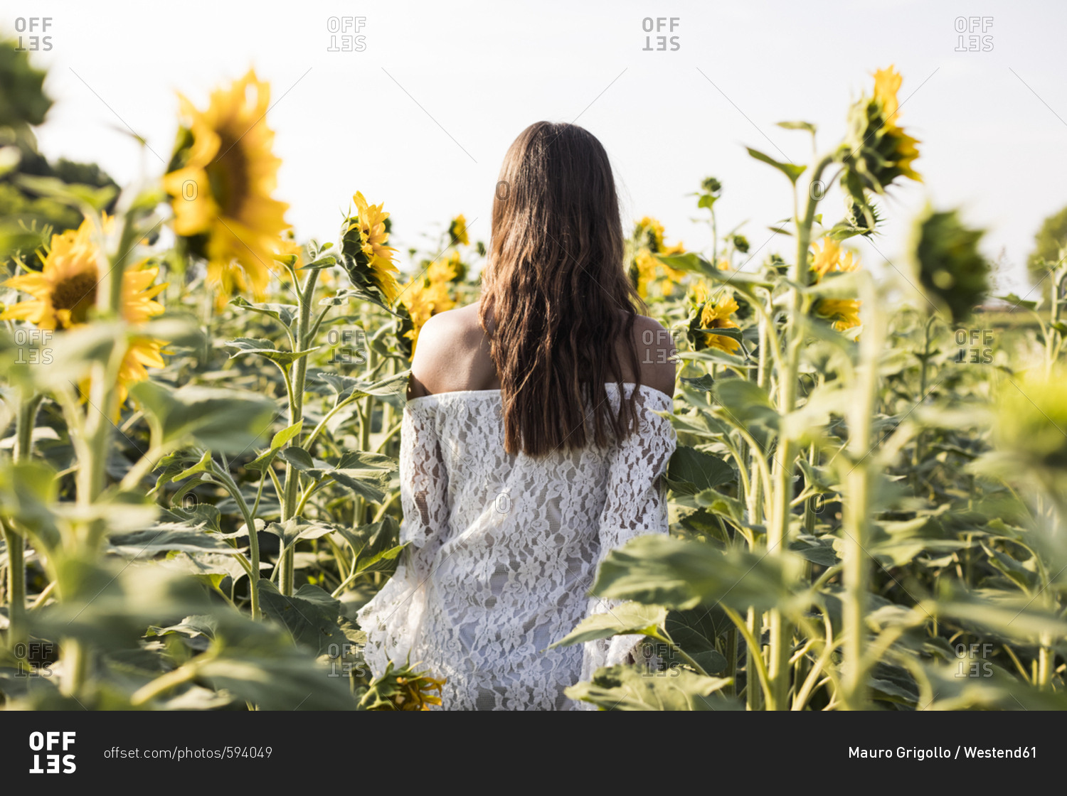 Woman in a sunflower field