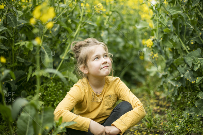 Confident girl sitting in rape field