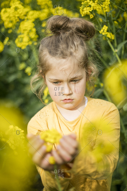 Girl examining plant in rape field