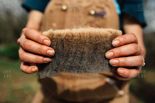 Female farmer holding freshly sheared wool