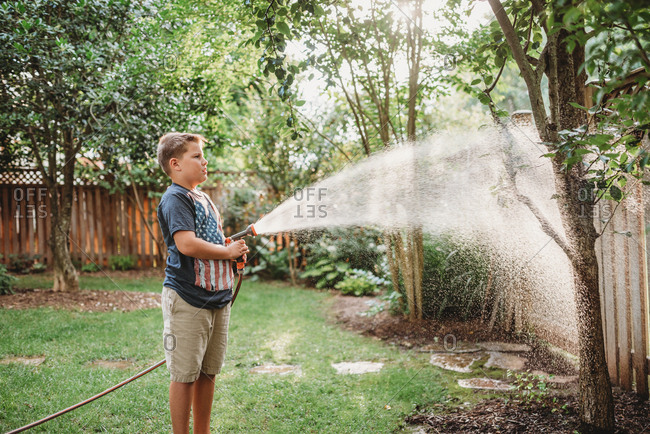 Boy spraying a tree in his backyard with a water hose