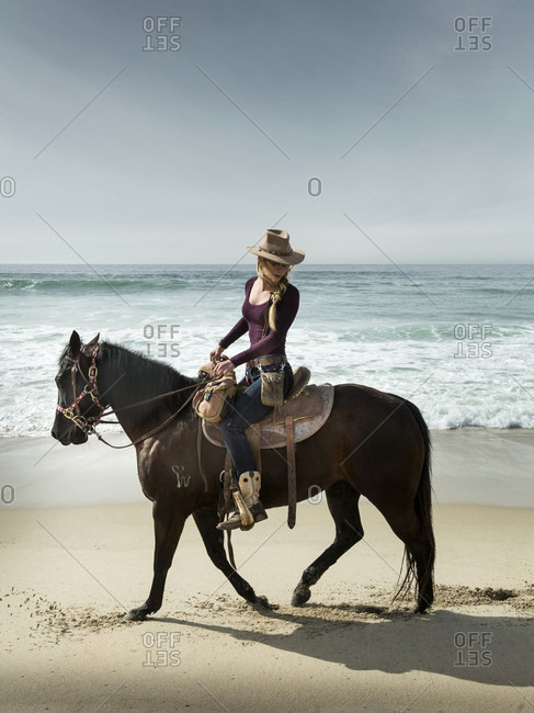Horse On Beach Stock Photos Offset Horse On Beach Stock Photos Offset