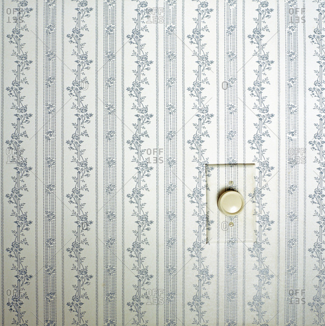 Light dimmer on wallpapered wall