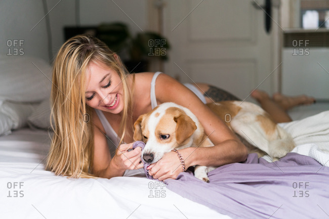 Sexy young woman at home playing with her dog stock photo - OFFSET