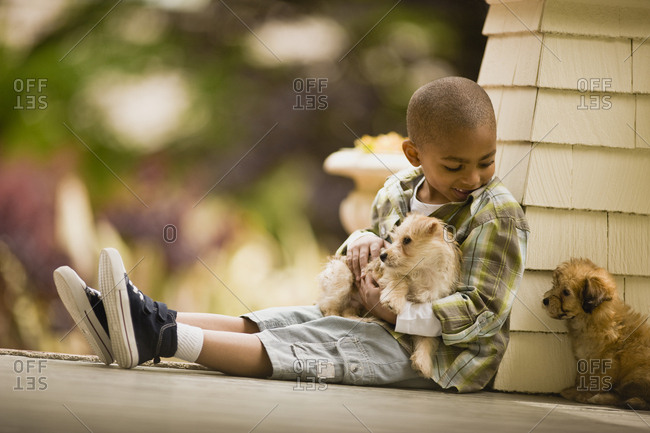 A young boy sitting on a veranda with two puppies