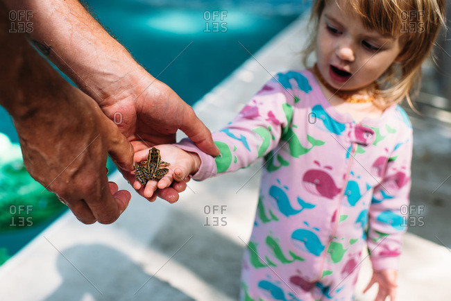 Toddler girl wearing pajamas holds a small frog