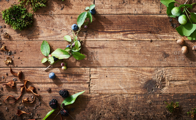 Arrangement of wild mushrooms and berries with moss on wooden background