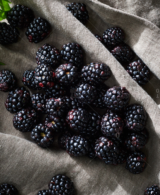 Close-up of fresh blackberries