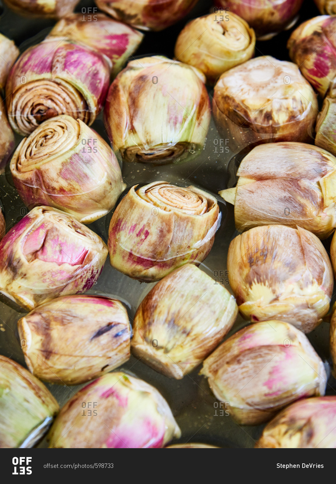 Artichoke hearts in water Offset stock photo OFFSET