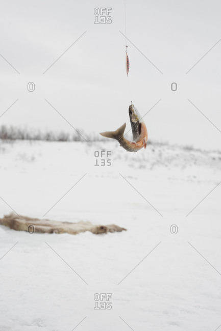 View of arctic char caught in fishing line against sky at Nabisco National Park