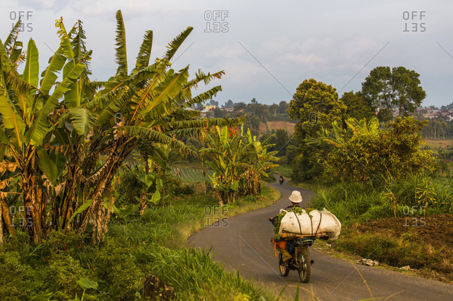 Kerinci Valley, Sumatra, Indonesia - February 24, 2015: A farmer rides a motorcycle loaded in produce down a winding dirt road in the lush Kerinci Valley of Sumatra, Indonesia.
