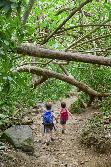 Young brother and sister hiking on the Manoa Falls Hiking Trail in Oahu Hawaii