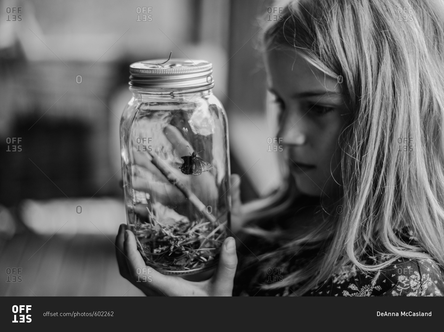 Girl looking at moth in a jar stock photo OFFSET