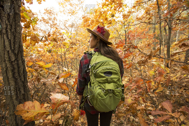 Rear view of young woman with backpack walking in forest during autumn