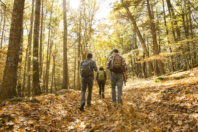 Rear view of male and female friends with backpacks hiking in forest during autumn