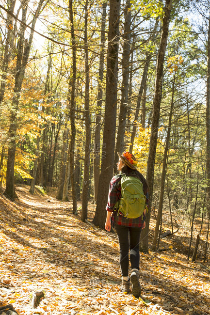 Young woman with backpack walking alone in forest during autumn