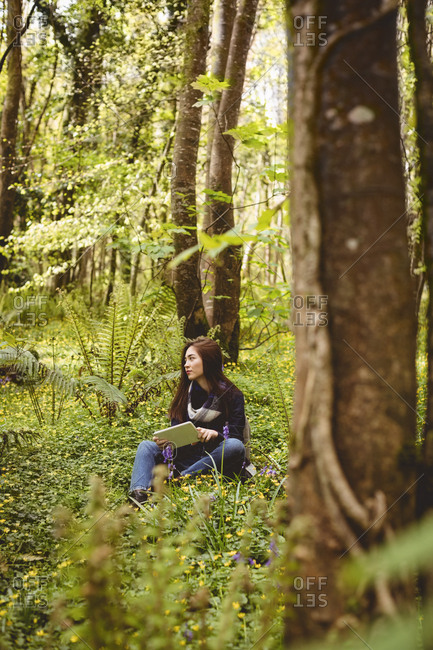 Thoughtful woman using digital tablet in forest on a sunny day