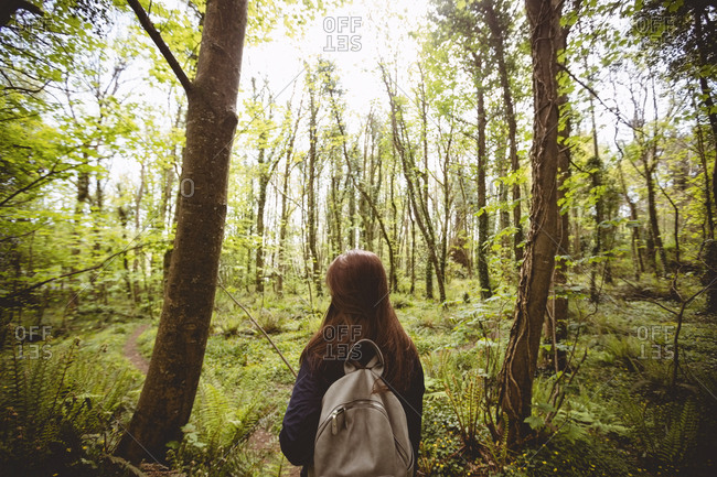 Rear view of woman standing in forest