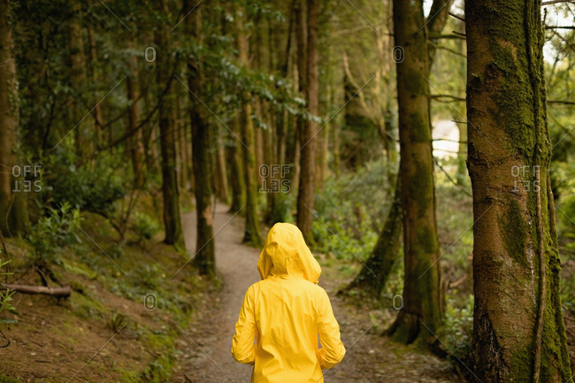 Rear view of woman walking in forest on a sunny day