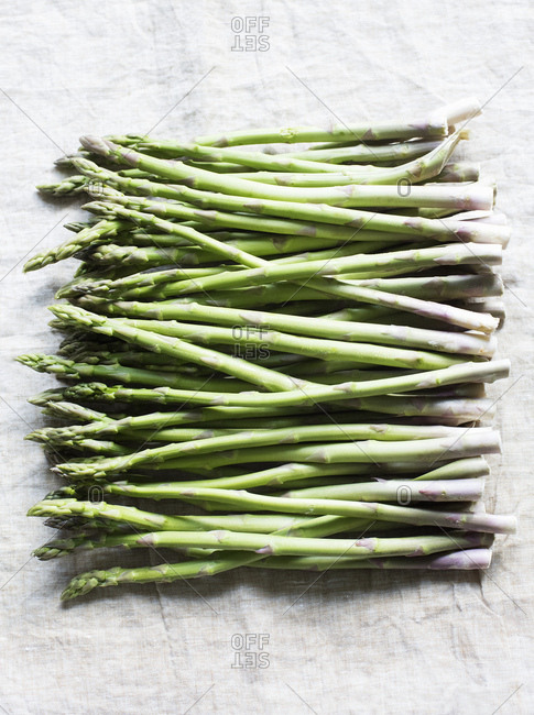 Still life of asparagus bunch in a row