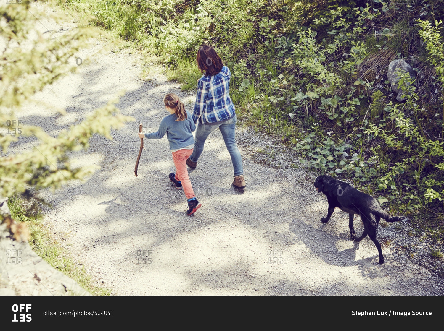 Mother and daughter walking through forest, hand in hand, dog walking behind, rear view