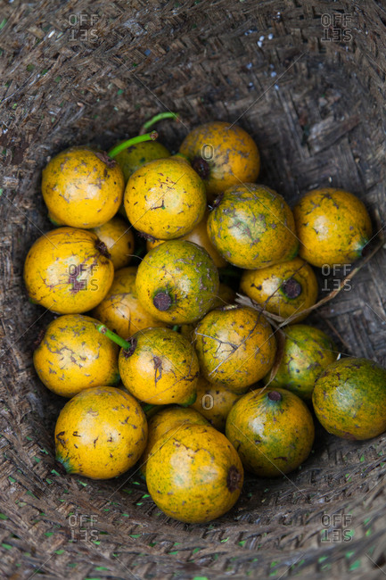 Harvested yellow passion fruit at the bottom of a woven basket