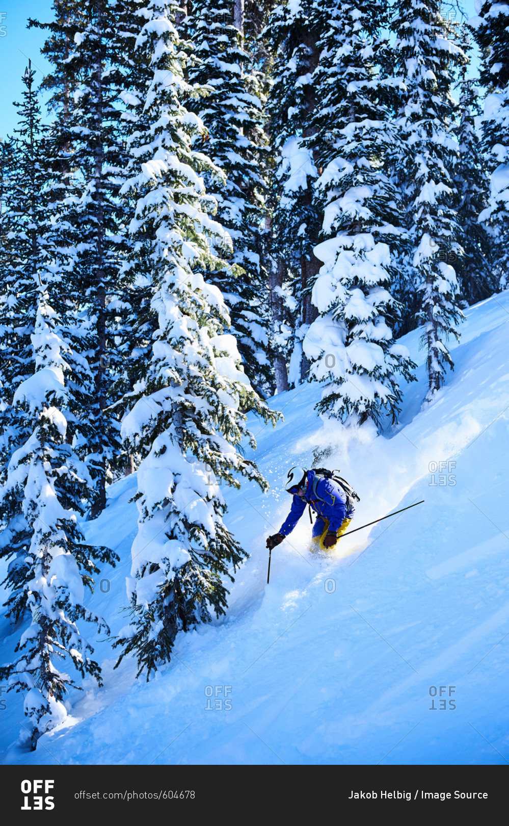 Man skiing down steep snow covered forest, Aspen, Colorado, USA