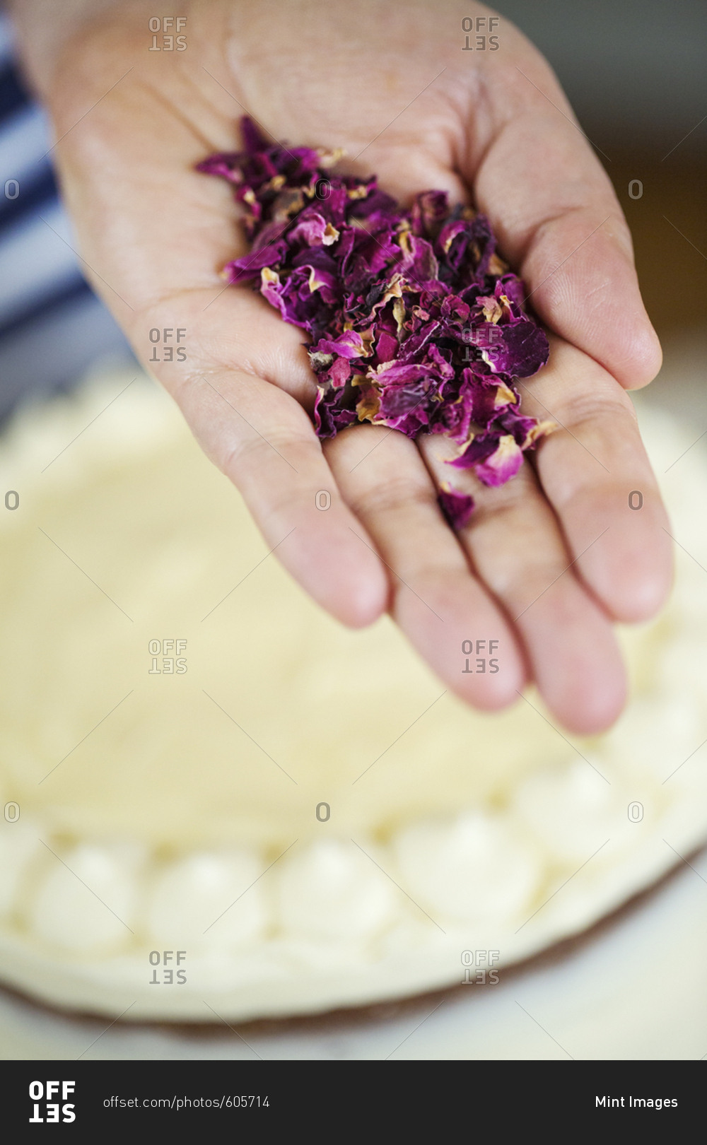 Close up high angle view of hand holding dried purple flower petals
