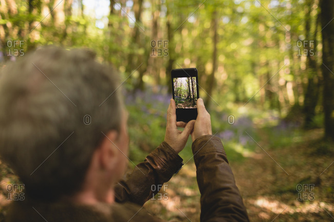 Man clicking photos from mobile phone in forest