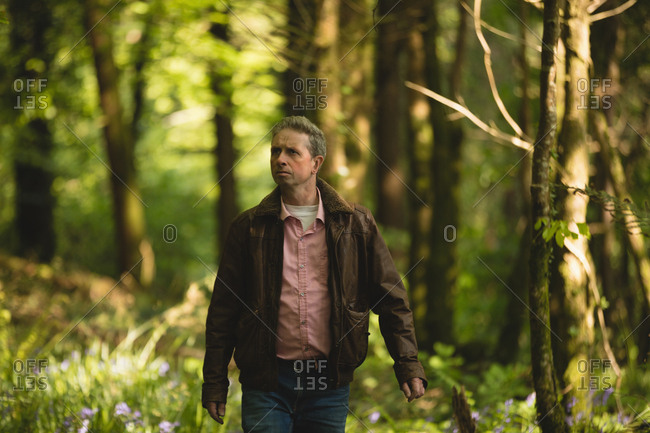Man hiking in countryside at forest on a sunny day