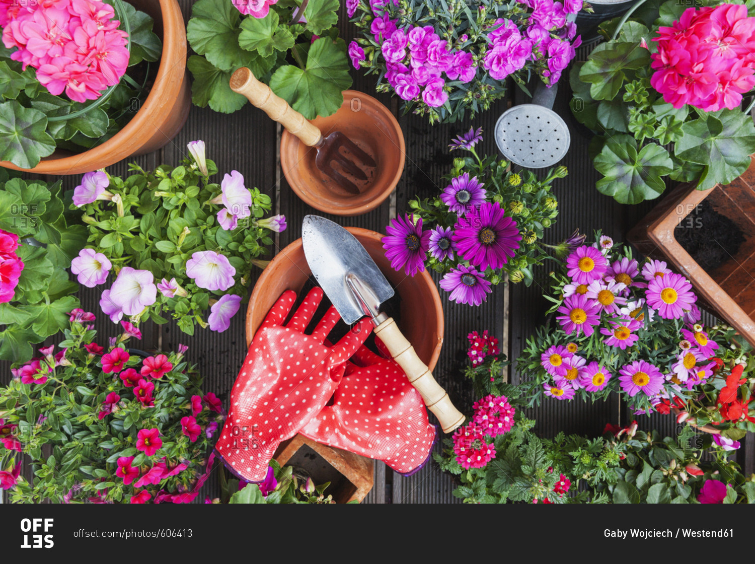 Gardening- different spring and summer flowers- gardening tools on garden table