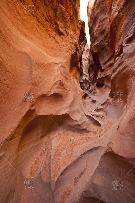 Dry Fork Slot Portrait