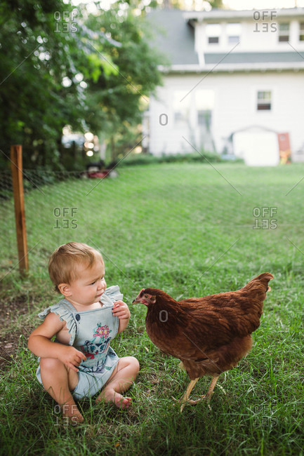 Infant girl sitting in grass looking at chicken