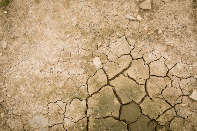Close-up of land with dry and cracked ground