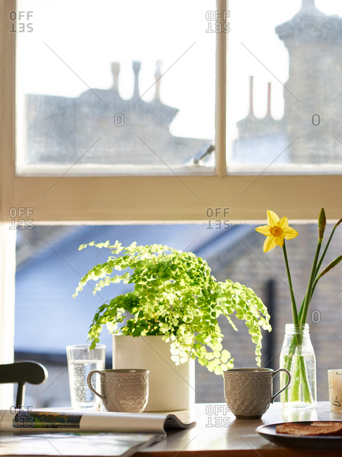 Breakfast Table With Coffee And Plants By A Sunny Window Stock Photo Breakfast Table With Coffee And Plants By A Sunny Window Stock Photo Offset