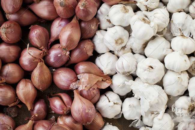 Garlic vs. Shallots: What's the Difference? - Homeground Grill & Bar